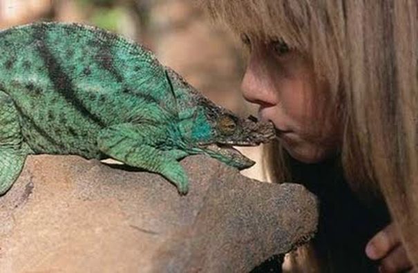 tippi6